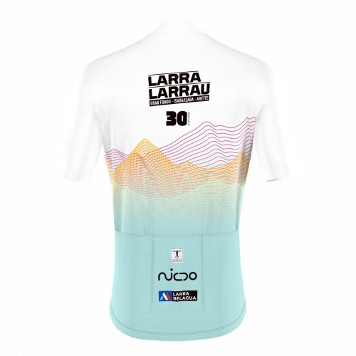 PRJ25-003782_Icon-Ride-Jersey-SS-Men_back